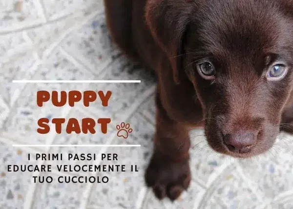 Puppy Start – Educazione Cinofila