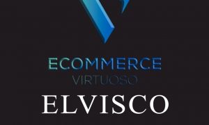 Download Corso Ecommerce Virtuoso – Elvisco