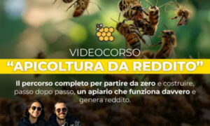 Apicoltura da Reddito – Rendita Agricola