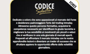 Codice Selector MASTER – Max Mereghetti