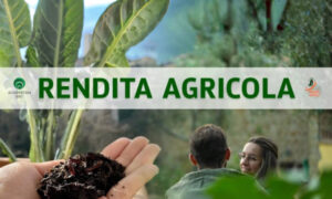 Rendita Agricola – Ecosystem BSC