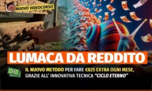 Lumaca da Reddito – Rendita Agricola