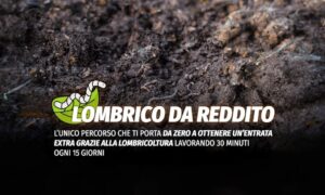 Lombrico da Reddito – Rendita Agricola